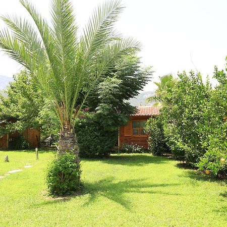 Bed and Breakfast Tunays Pansiyon Чирали Екстер'єр фото