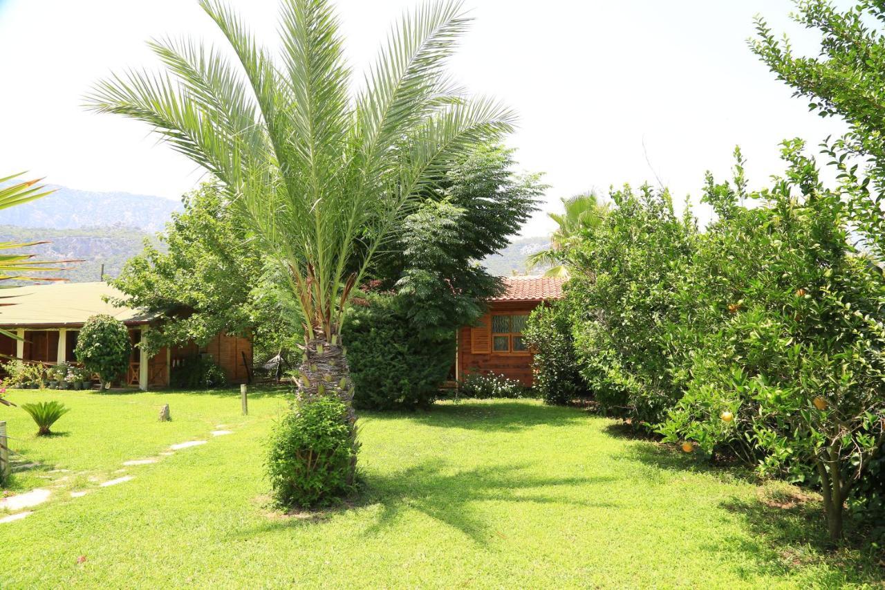 Bed and Breakfast Tunays Pansiyon Чирали Екстер'єр фото
