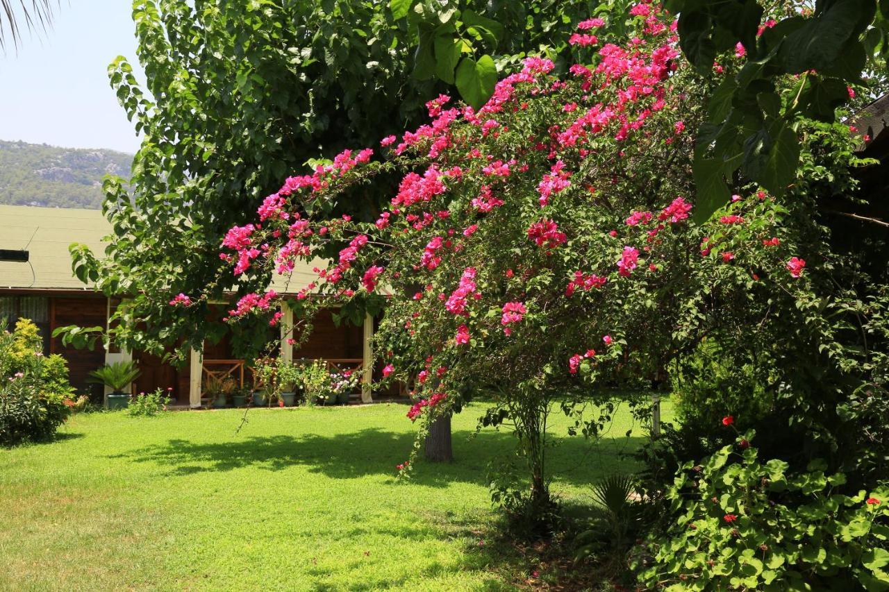 Bed and Breakfast Tunays Pansiyon Чирали Екстер'єр фото